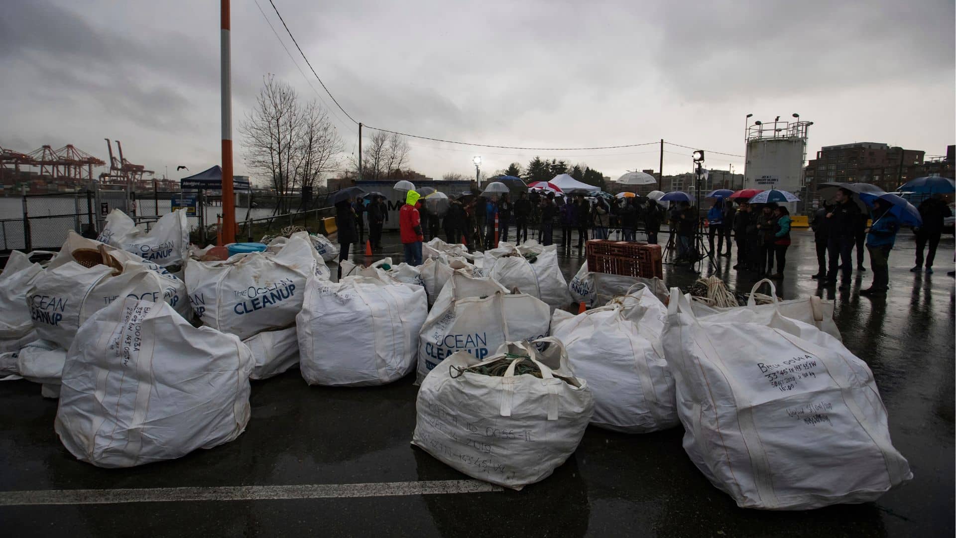 Bags of plastic trash
