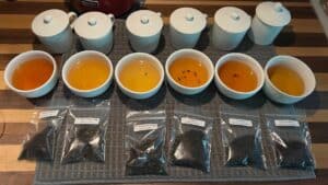 Thousands of years of history in one steaming cup of tea 1 Six black teas from Sri Lanka and India set up for tasting.
