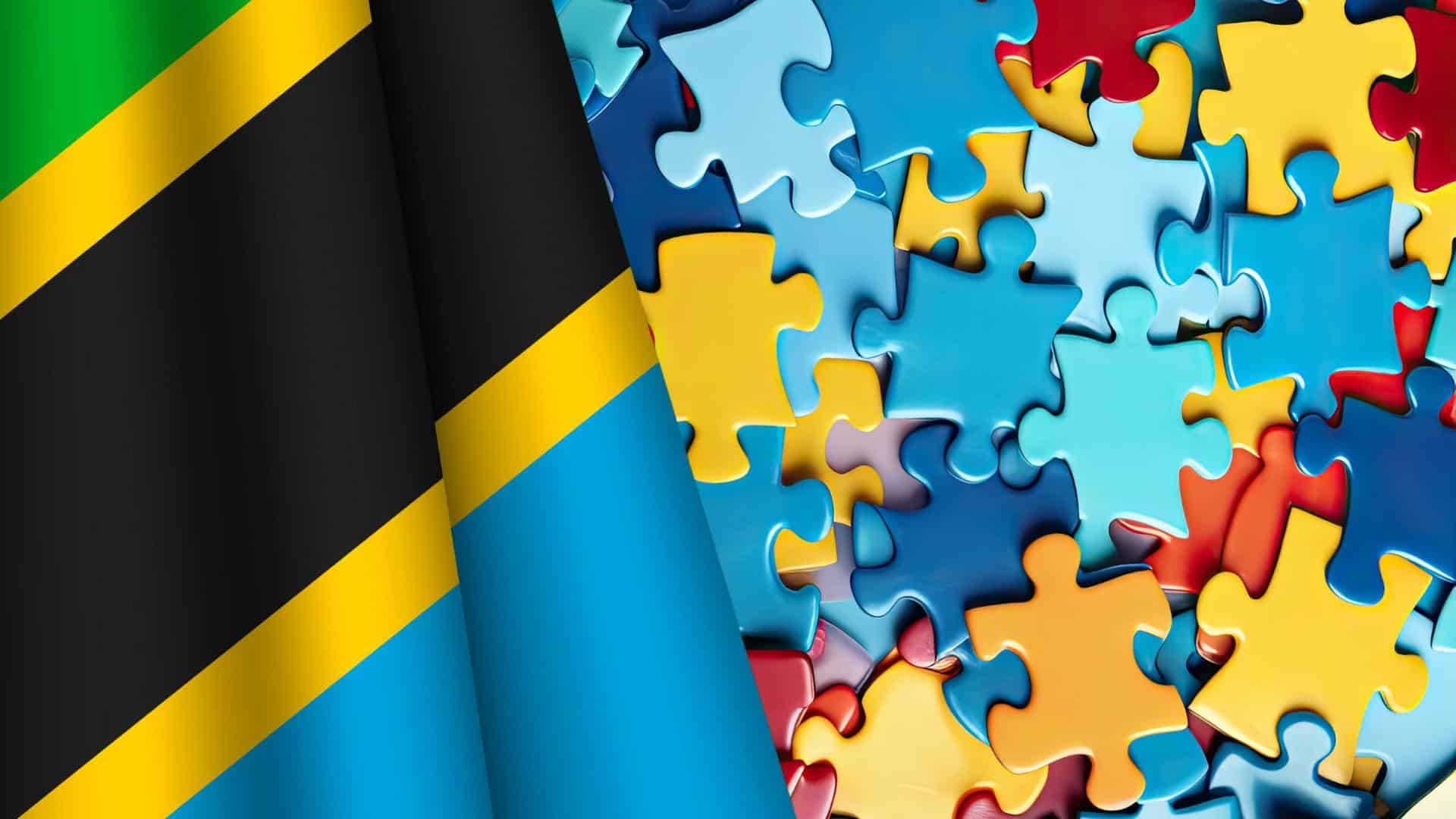 A Tanzanian flag and jigsaw puzzle pieces