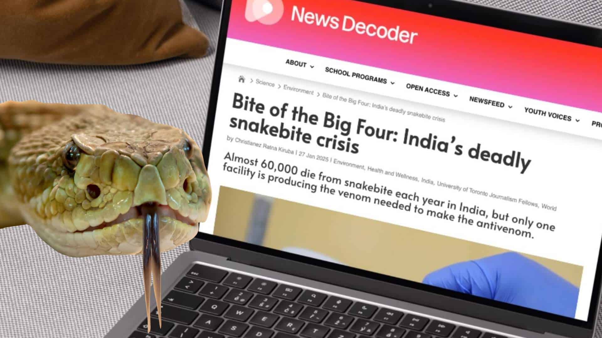 A snake and a laptop 