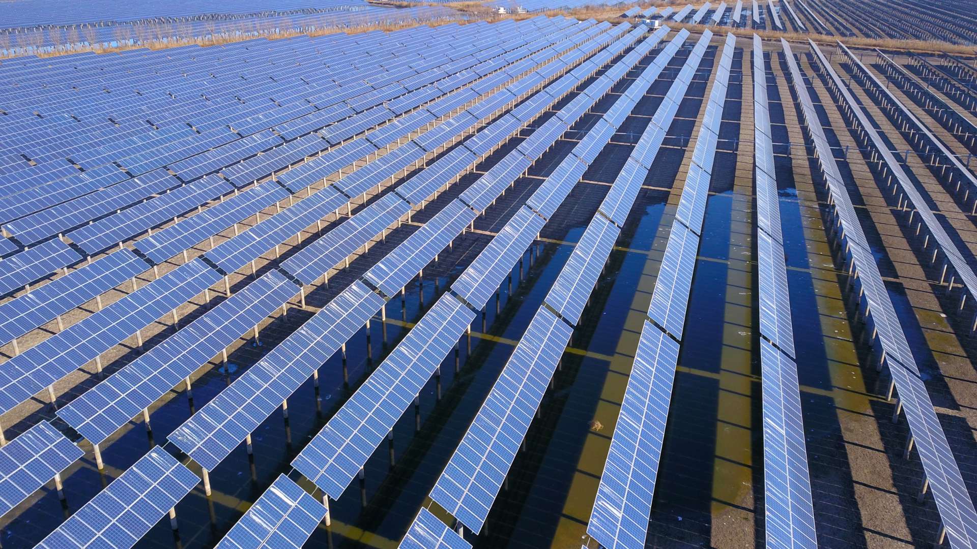 A solar farm