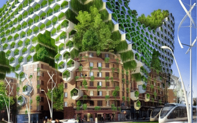 Building a carbon-free future