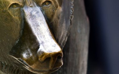 Just how low can stock markets go?