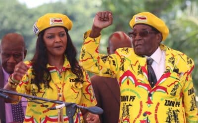 Mugabe’s downfall: End of an era or palace coup?