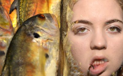 Overfishing demands that we show empathy
