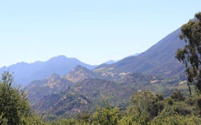 The Thomas Fire: Awakened from our indifference