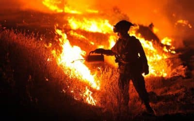 Wildfires: Sensationalist media can miss the mark