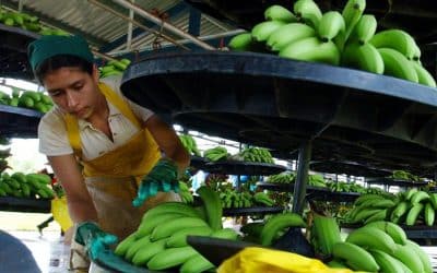 Why eating local is a controversial way to fight climate change