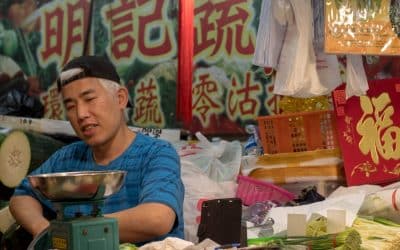 Wet markets opened my eyes to Hong Kong’s culture