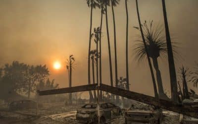 Decoder: Countries renew climate change fight