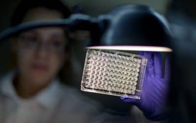 Decoder: Superbugs, the world’s little-known silent killer