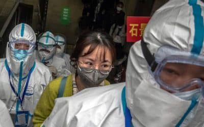 My journey around the world with the coronavirus