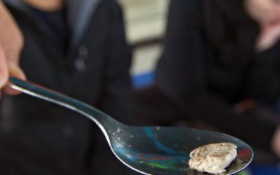 Microplastics in newborn babies  — a hidden peril