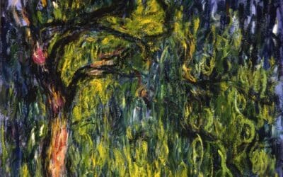 Remembering trees and other wonders of nature