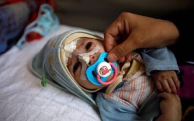 Yemen war snuffs out fleeting hope for change