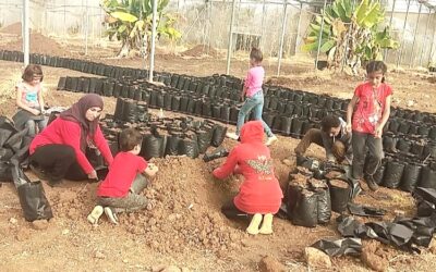 No choice but to toil for Syrian refugee children in Lebanon