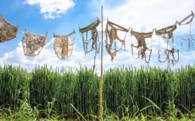 Buried underpants and tea bags help scientists evaluate soil