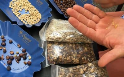Coffee has long enriched Trieste. It still reigns supreme.