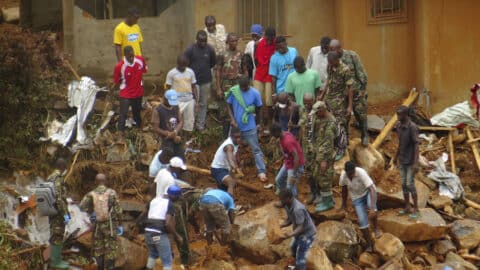 3x2Deforestation in Sierra Leone 1