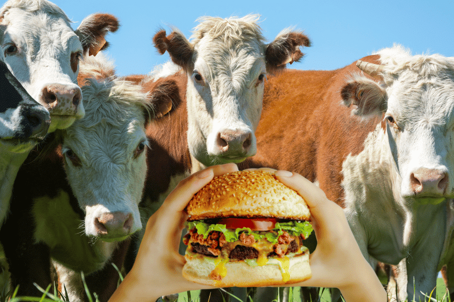 Do you see the cow you consume when you bite into a burger?