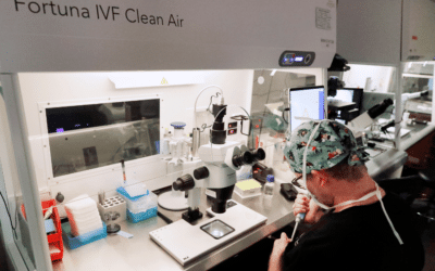 Decoder Replay: For an IVF baby, does life begin in the lab?