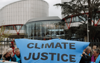 Decoder Replay: A healthy planet as a human right