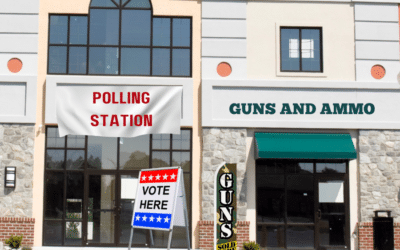 A gun shop next to a polling location in an imagined strip mall.
