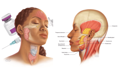 Anatomy no longer gray
