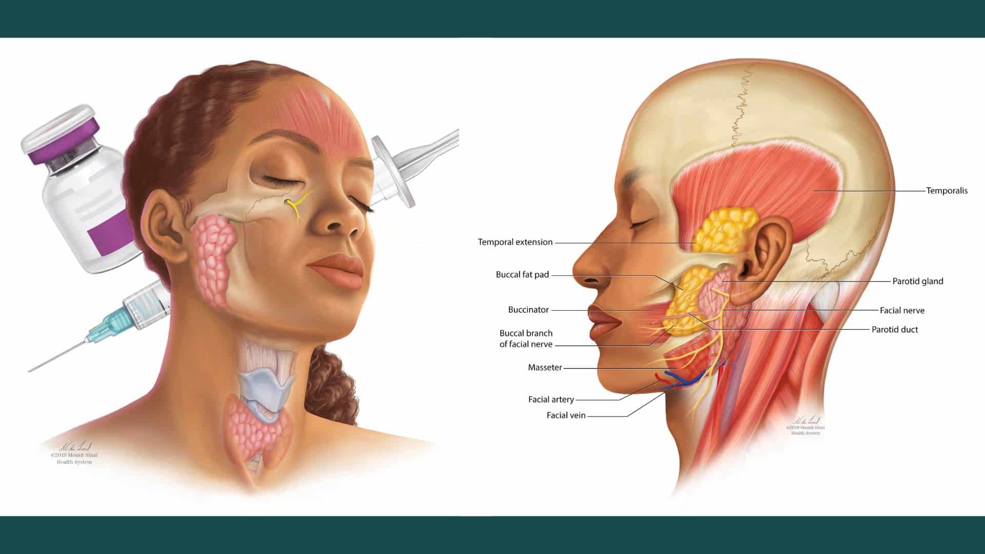 Two medical illustrations by artist Ni-ka Ford.