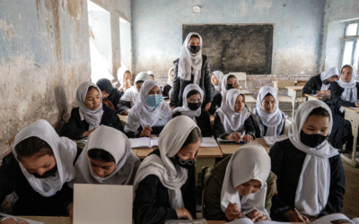Decoder Replay: Should half the world have fewer basic rights?