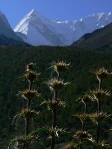 Hero's Journey Dunagiri Mountain in Northern India