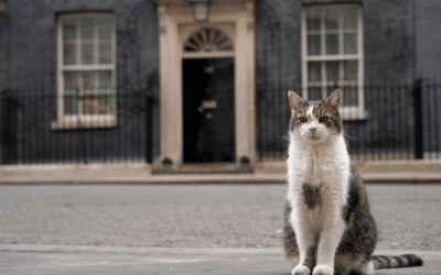 With Labour leading in Britain, people look for calm after chaos