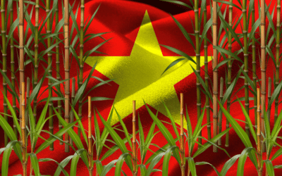 Decoder: Vietnam’s bamboo diplomacy