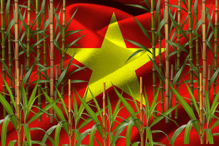 Decoder: Vietnam’s bamboo diplomacy