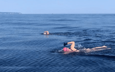 Swimming in the wake of ancient explorers