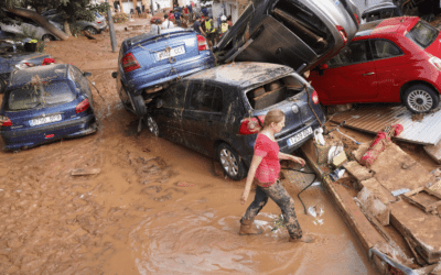 Decoder Replay: Why a disaster in one place shakes the world