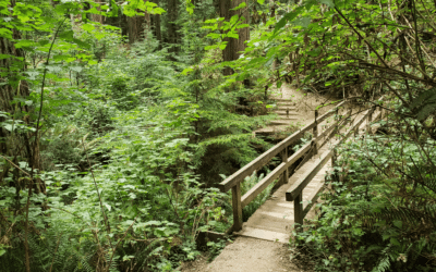 Decoder Replay: Take a hike!