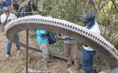 Decoder Replay: What goes up must come down