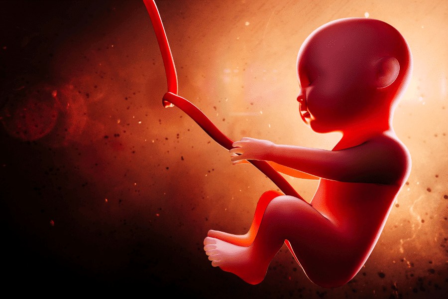 Whose business is it if a woman lends out her womb?