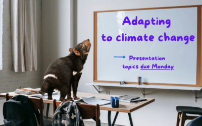 Teaching students they don’t have to change the world