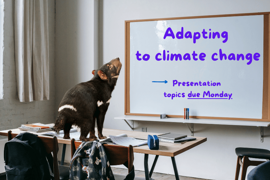 Teaching students they don’t have to change the world