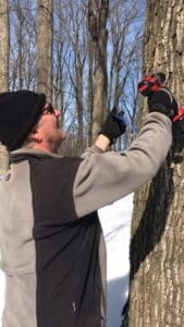Kevin Jewison tapping a maple. 
