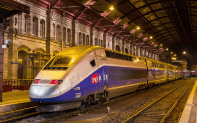 A tale of two transport systems
