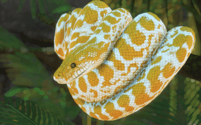 When a snake bites, sometimes traditional medicine won’t do the trick