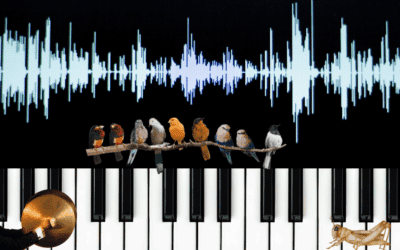 Can you make your podcast sound great?