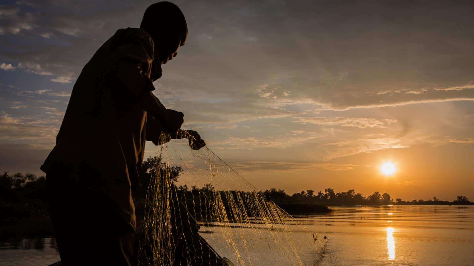 A man sets up a camera trap in Uganda. (Credit: Volcanoes Safaris)