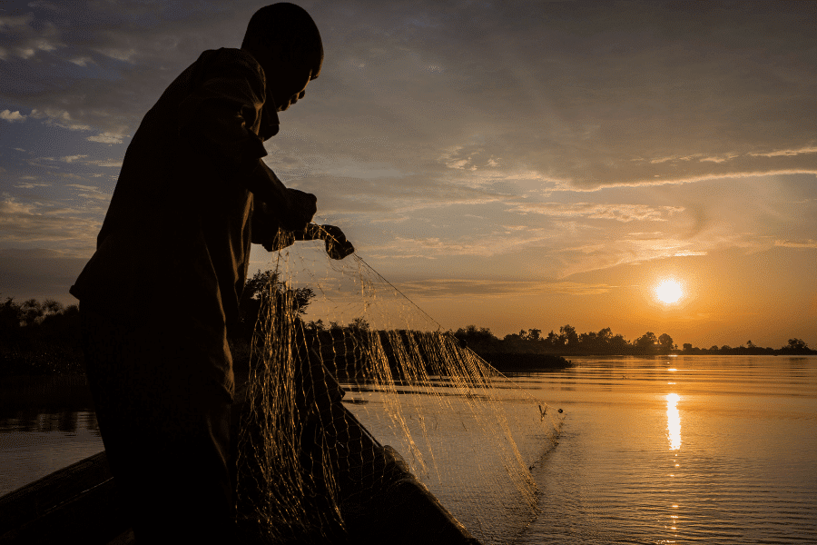 Finally, a focus on freshwater fish