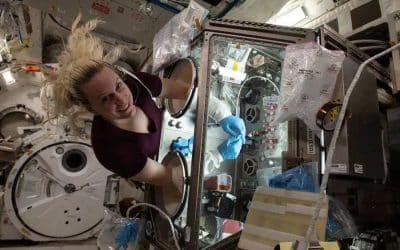 For World Space Week it’s time to look up