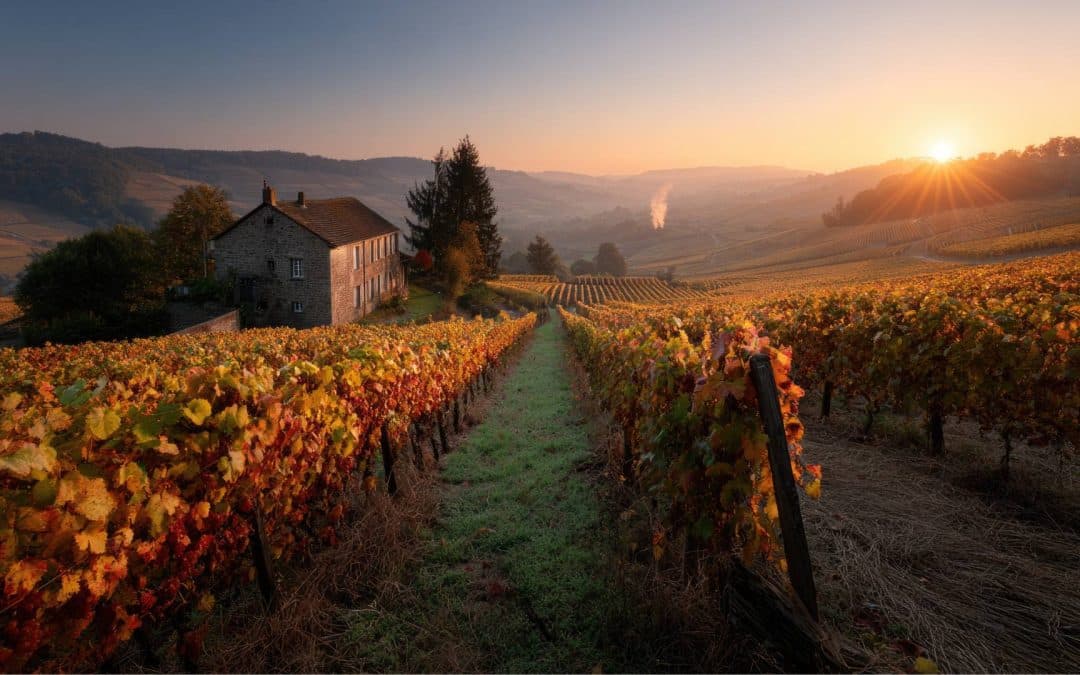 Climate change brings new worries to an old industry