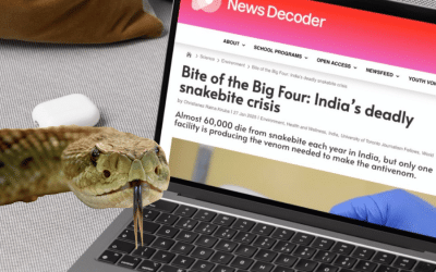 The stories that most resonated with our readers